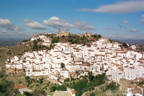 Want some change to coastal life and experience a more rural Andalucia? Then you should visit some of the many picturesque little Pueblos Blancos, <b>Spanish villages</b>, spread over the region. The whole countryside is full of small white villages and some of them are really close by, for instance, the mountain village of <b>Casares</b> and <b>Benahavis</b>.  Find out what Andalucia looks like off the beaten track!